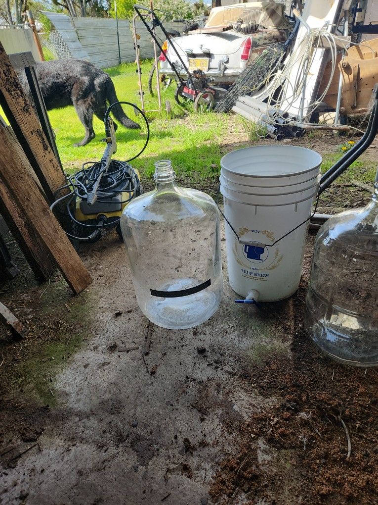 Microsoft Brew Supplies