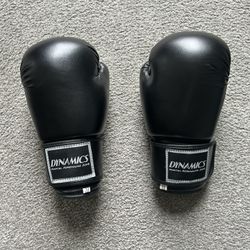 Dynamics Boxing Gloves 