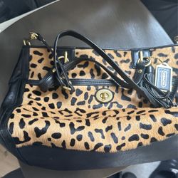 Coach Bag Used And Very Good Condition