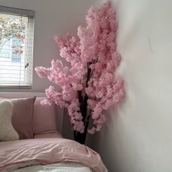 Brand New Cherry Blossom Tree