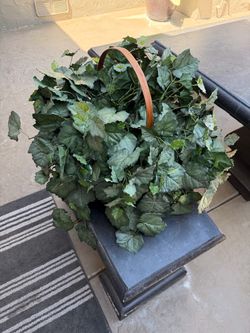 artificial plant