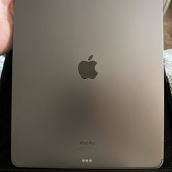 New OOB Apple IPad Pro 12.9 6th Gen M2 Chip with Wi-Fi/Cellular Data 256GB. Used for a couple months, never been out of case. Perfect conditio