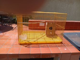Bird Cage