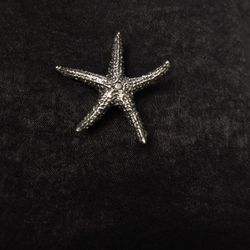 Starfish Pin- Beau sterling