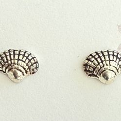 Sterling Silver Seashell Stud Earrings New