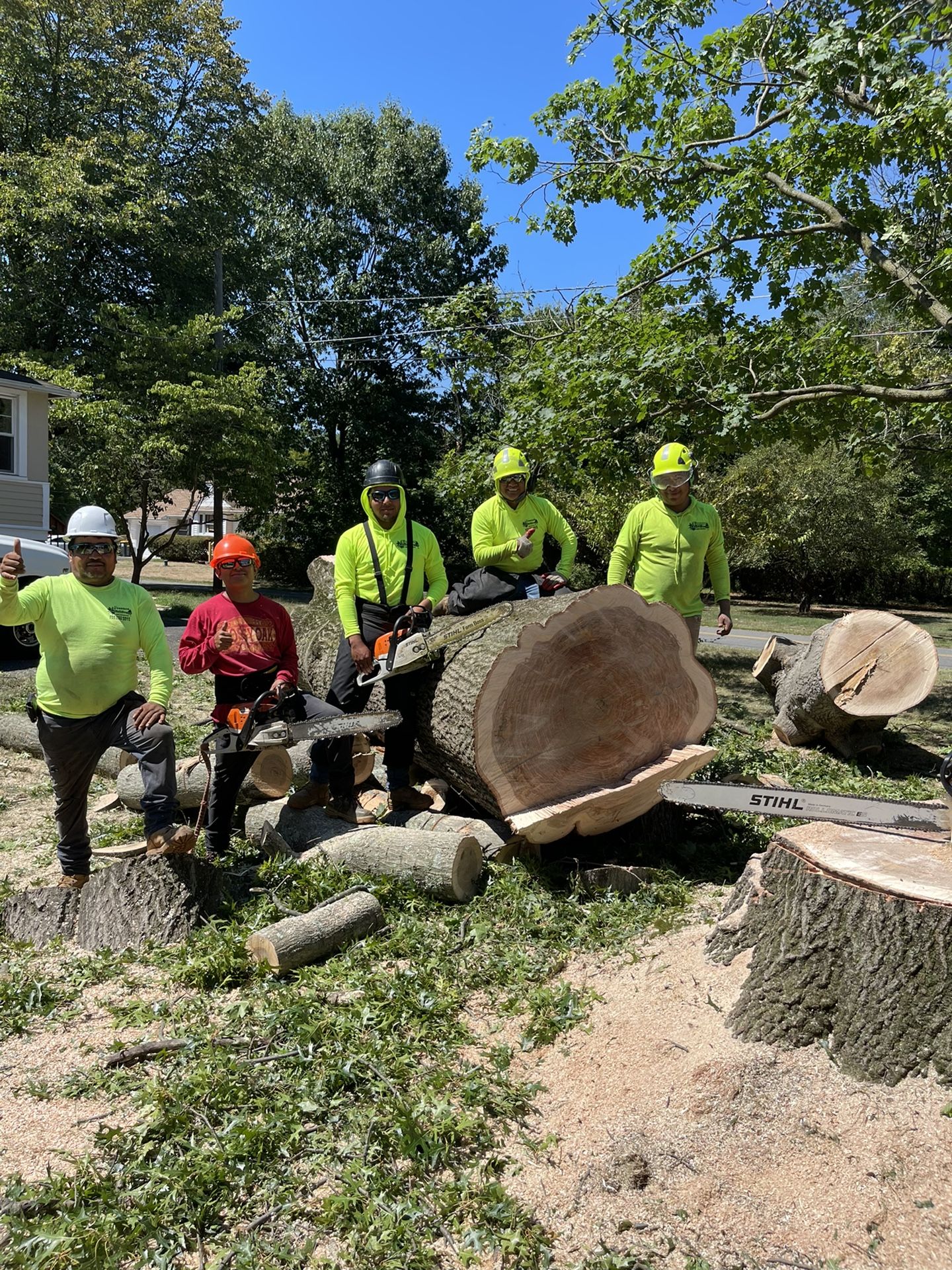 Landscaping And Tree Trimming