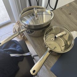 Stainless Steel Pots (price Is For Both)