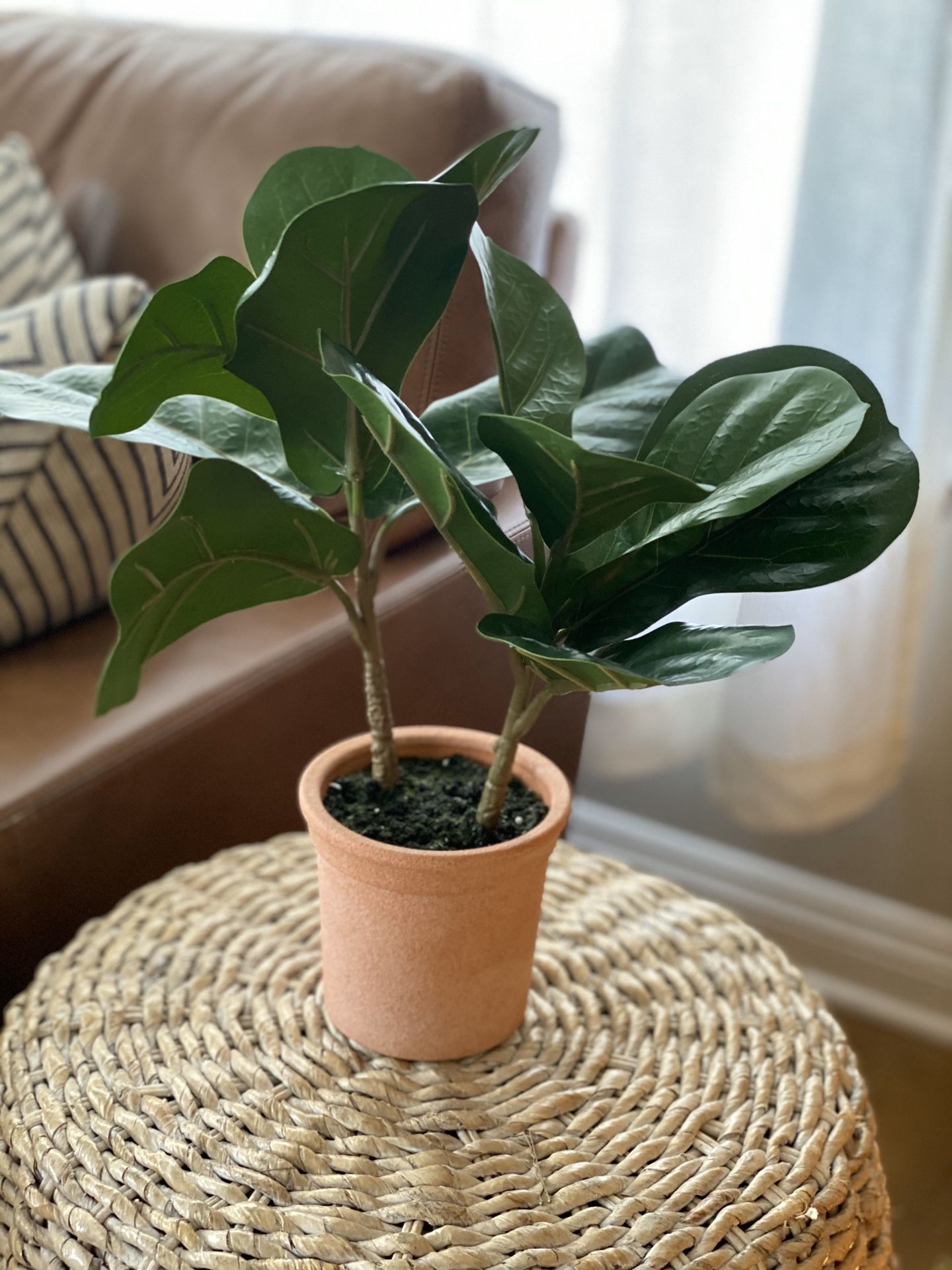 NEW Hearth & Hand faux fiddle leaf plant