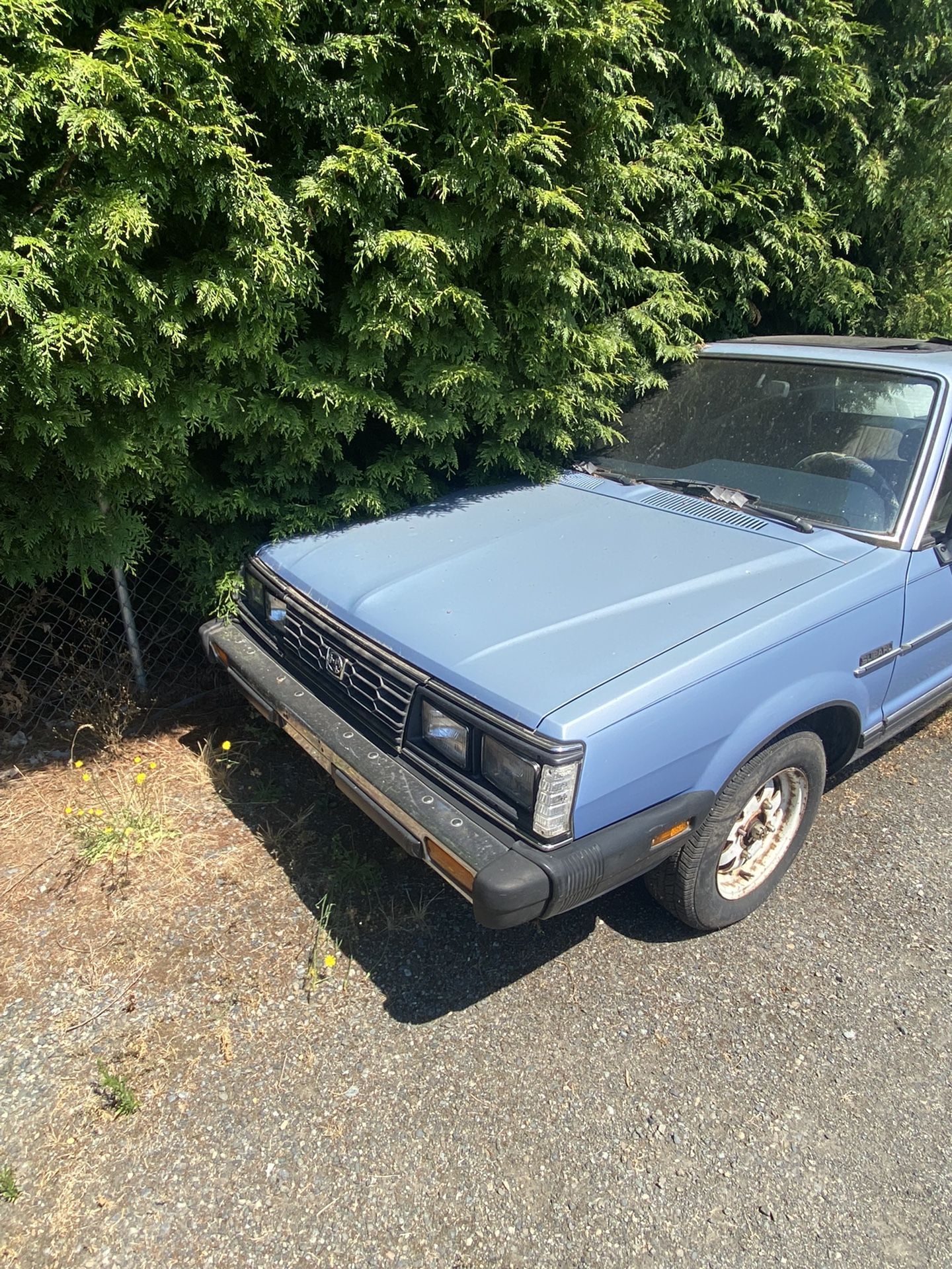 1984 Subaru GL