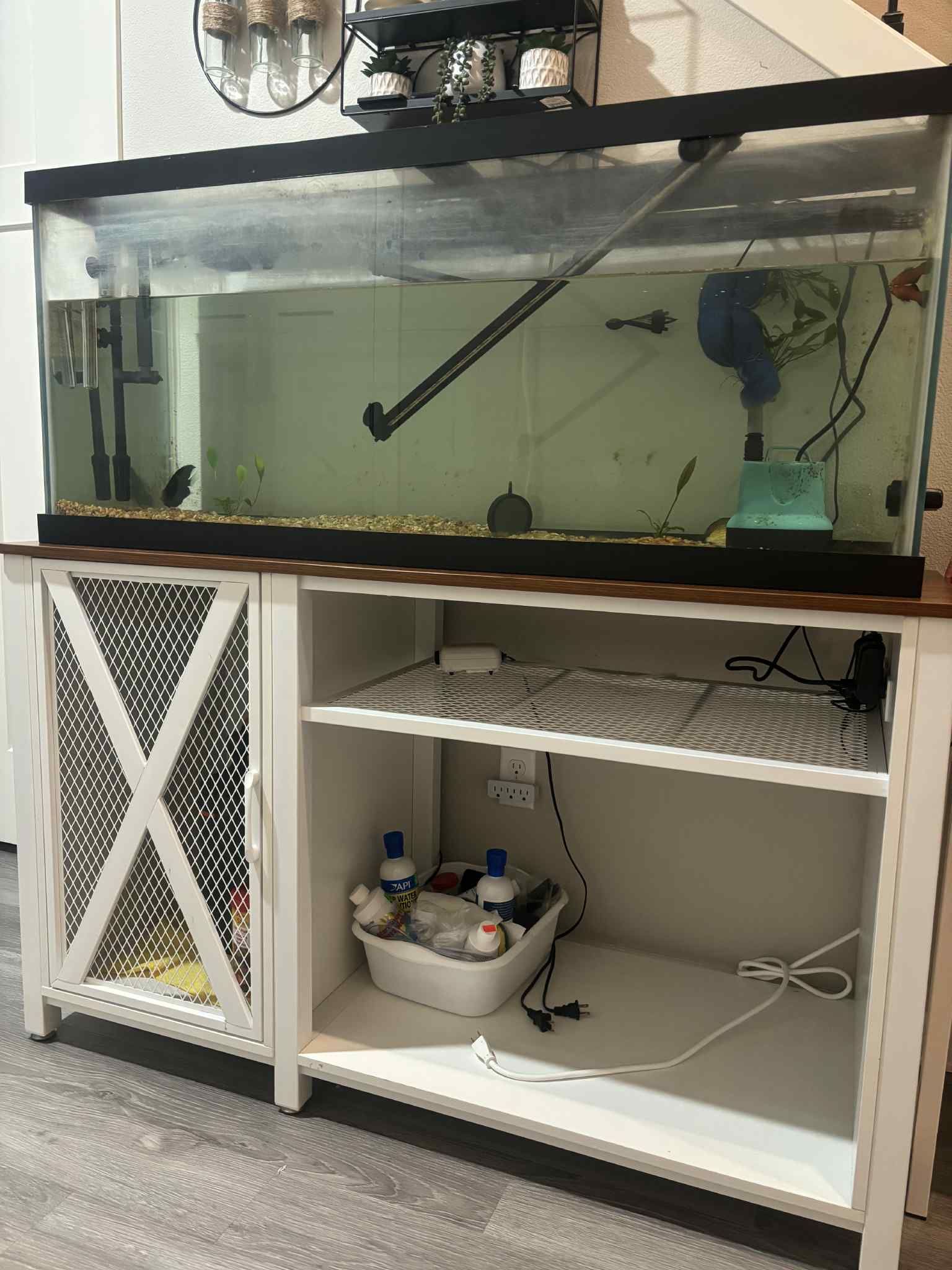 fish tank and stand