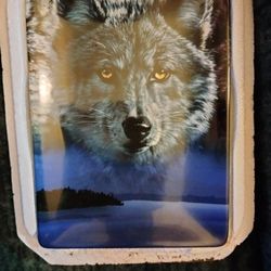 Bradford Exchange Eyes Of The Night(vigilance"