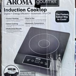 Aroma gourmet induction cooktop