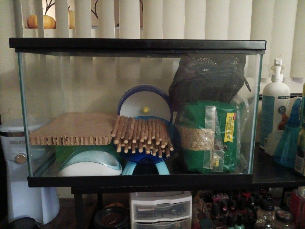 10 Gallon Aquarium with Lid (Rodent Things Extra)