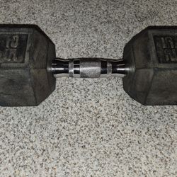 25 lb Dumbbell (single)