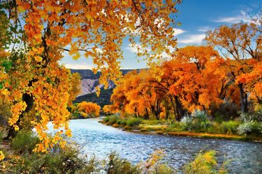Fall along the Rio Grande - fine art print