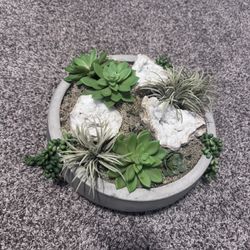Really Awesome Succulents With Quartz Rocks