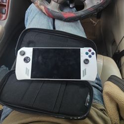 ROG Ally With Case