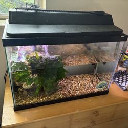 Aquarium 20 Gallon Fish Tank