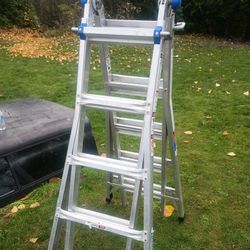 Werner 22ft. Multi-Position Ladder
