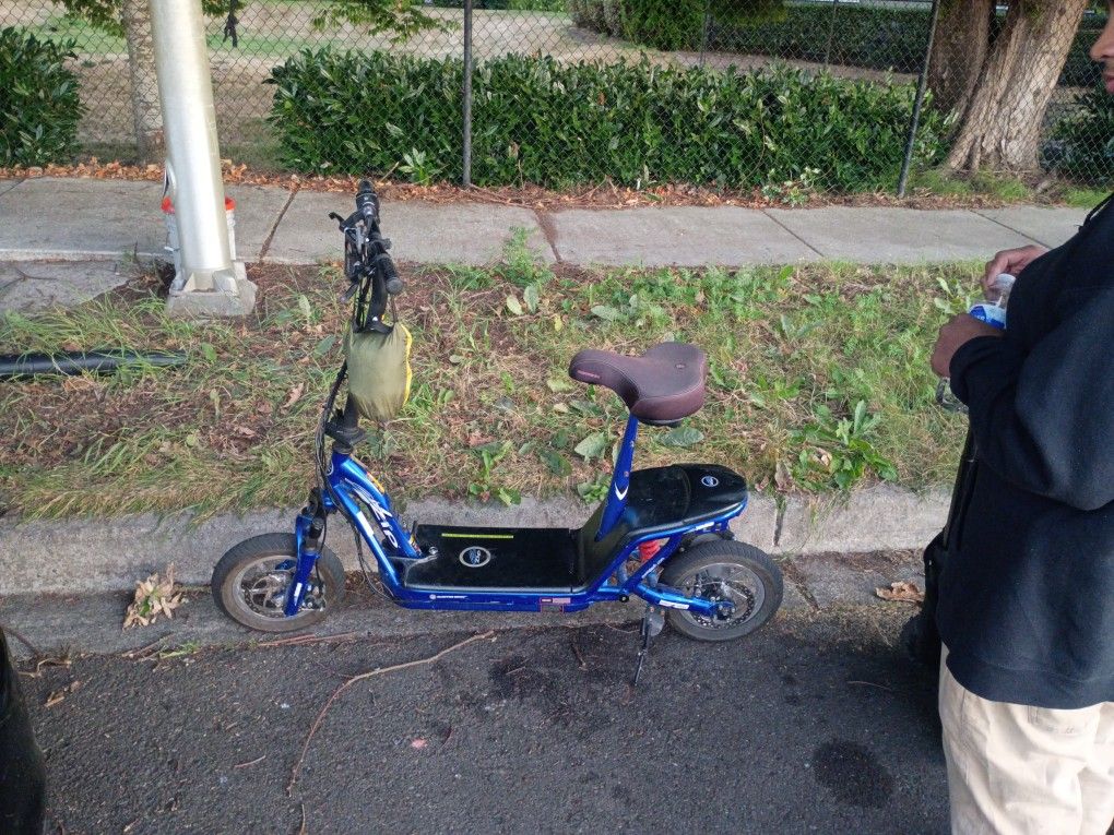 Electric Scooter
