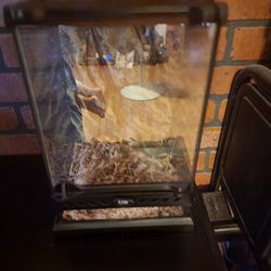 Small Med Terrarium W/ Lamp Stand And Small Lamp