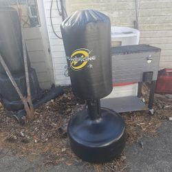 Price Is Firm.. Children's Free-standing Punching Bag