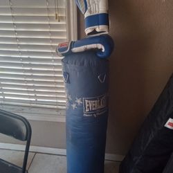 Everlast Boxing Punching Bag And  Gloves