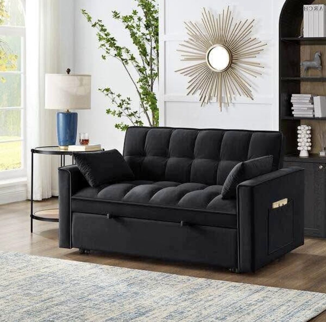 Sleeper Sofa