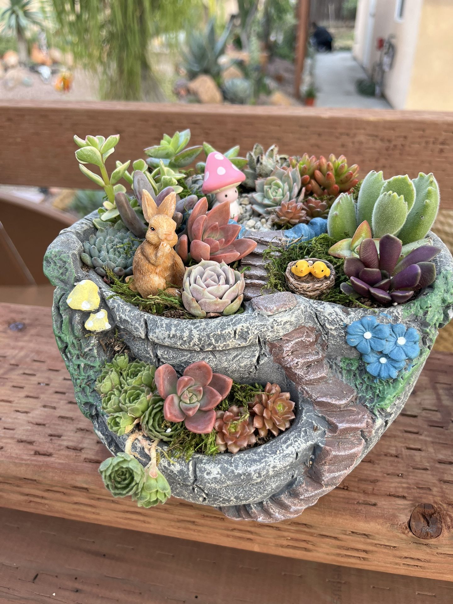 Cute Succulent Fairy Garden for Sale in West Covina, CA - OfferUp