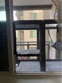 Cat Catio