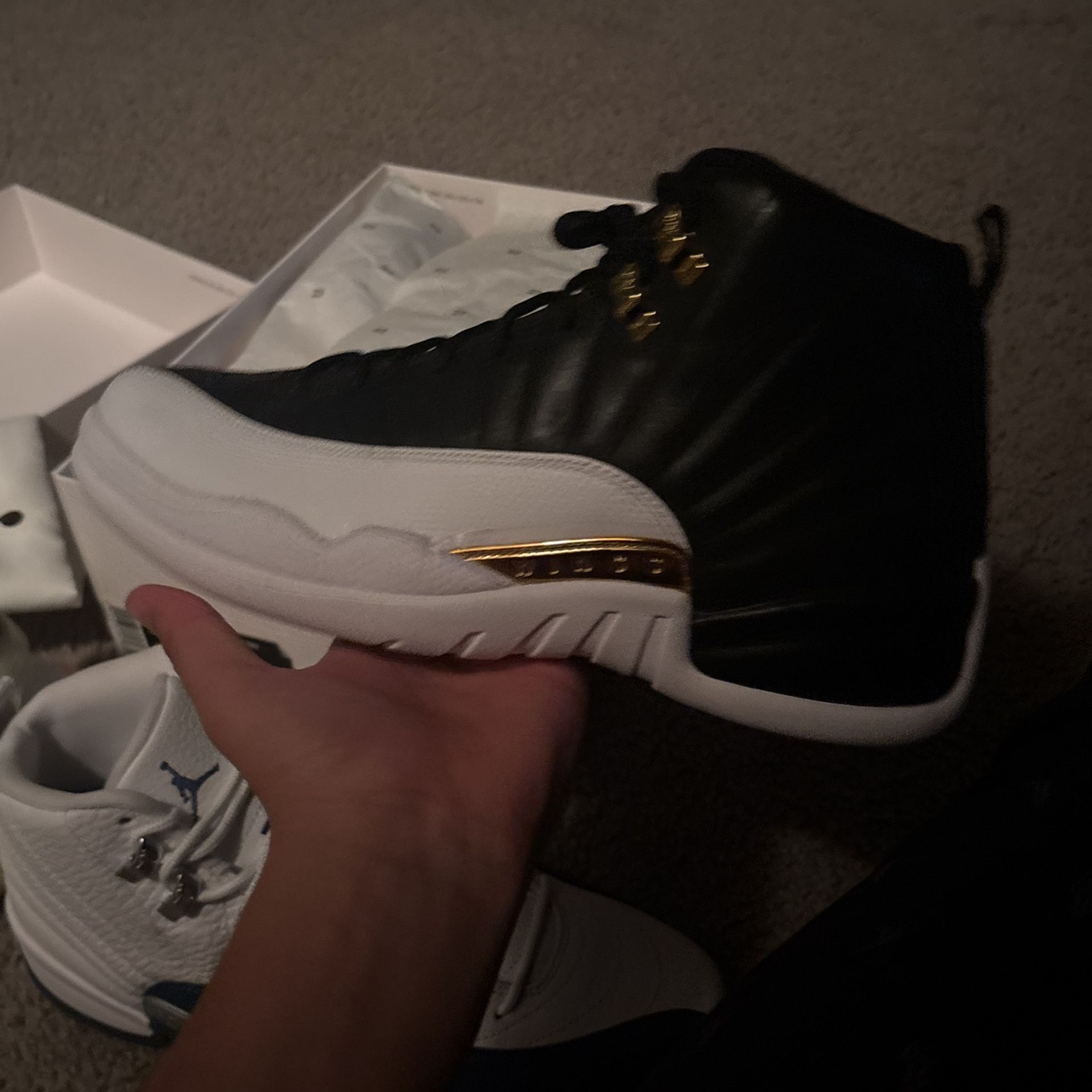jordan 12 retro wingz (2016) OG all
