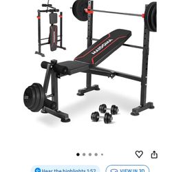 Weight Bench 