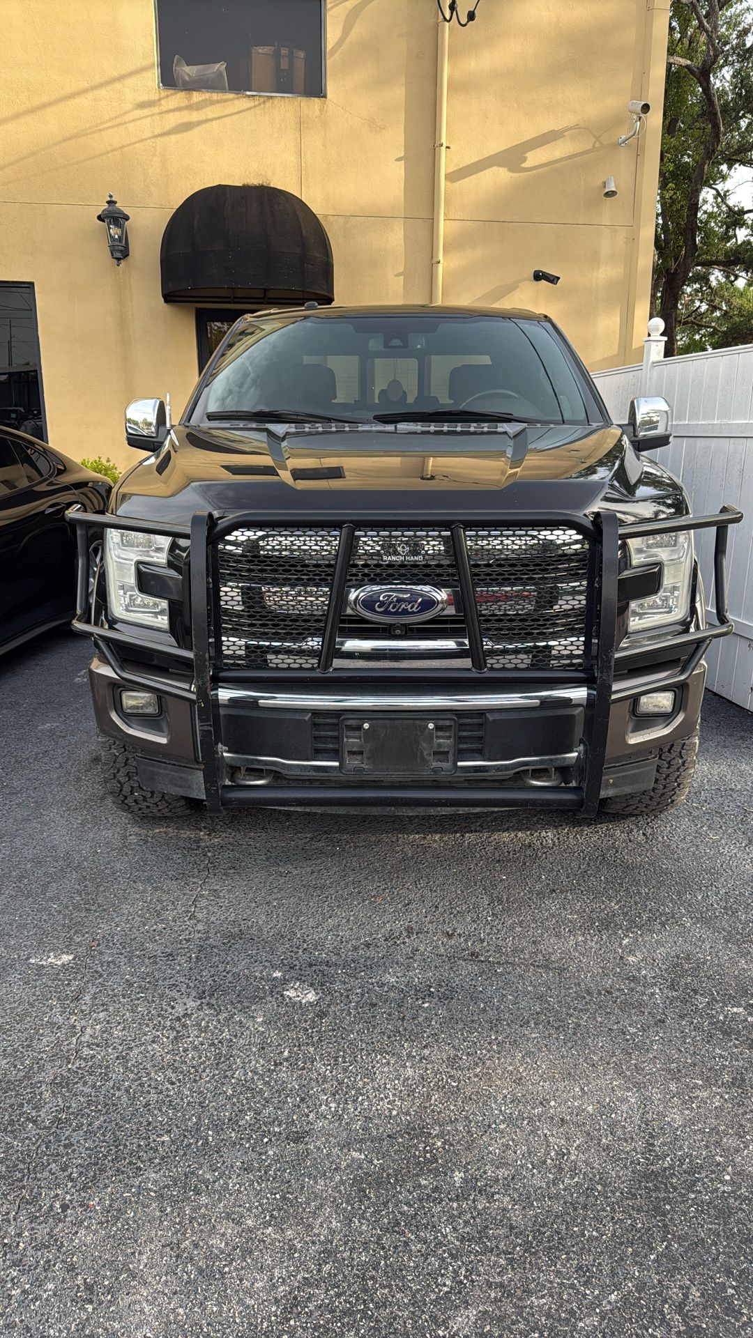 Ford f150 Brush Guard