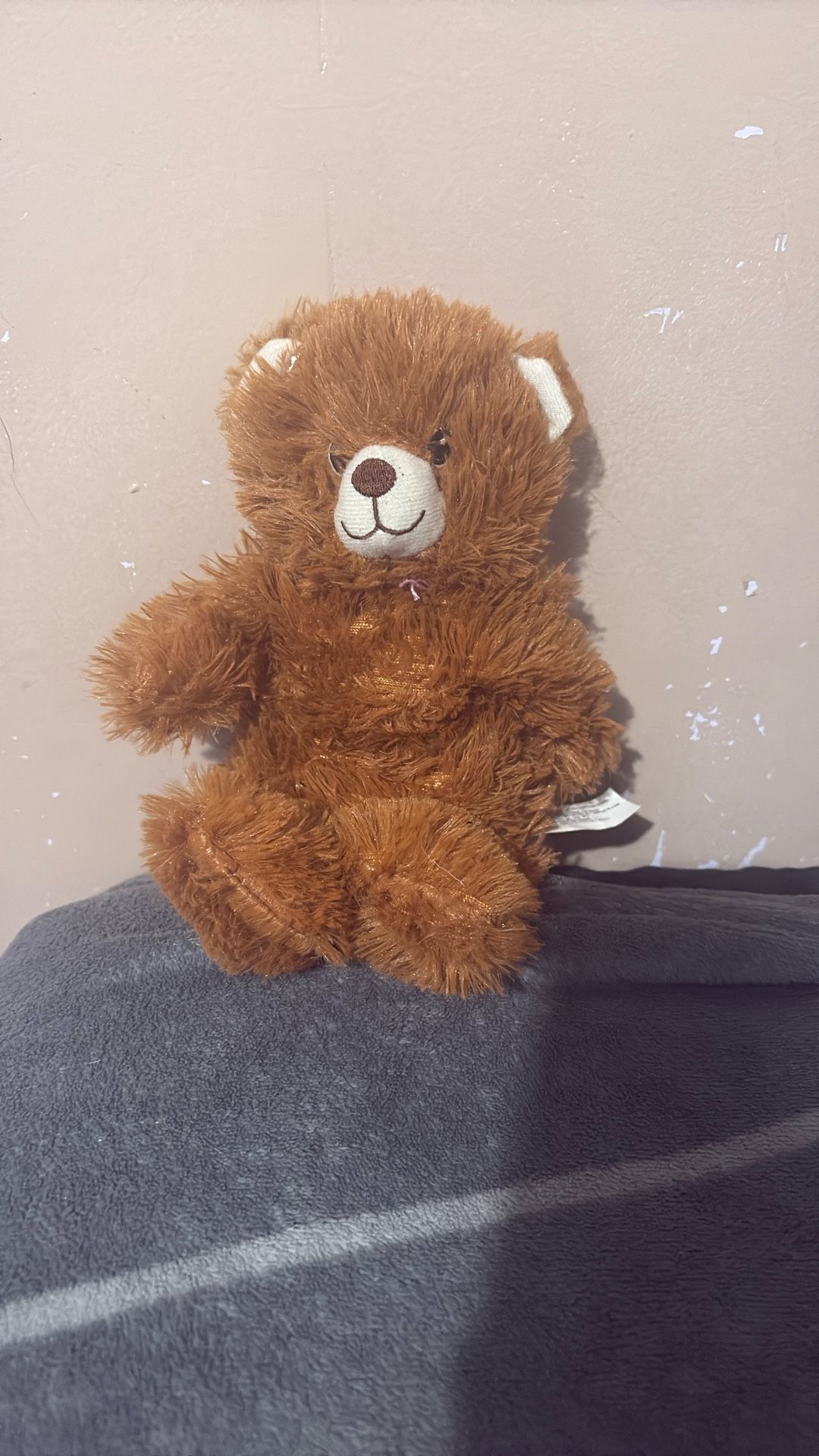 Teddy Bear