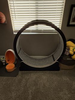 Cat Exercise Wheel
