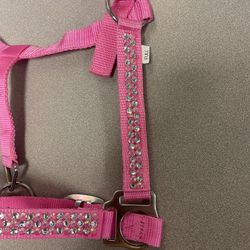 Horse Halters 