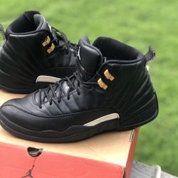 Jordan 12 Master Sz 11 100% Authentic 