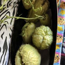 Challotes