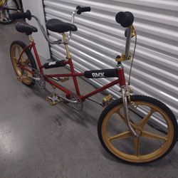 Mini Twin Schwinn 20" 