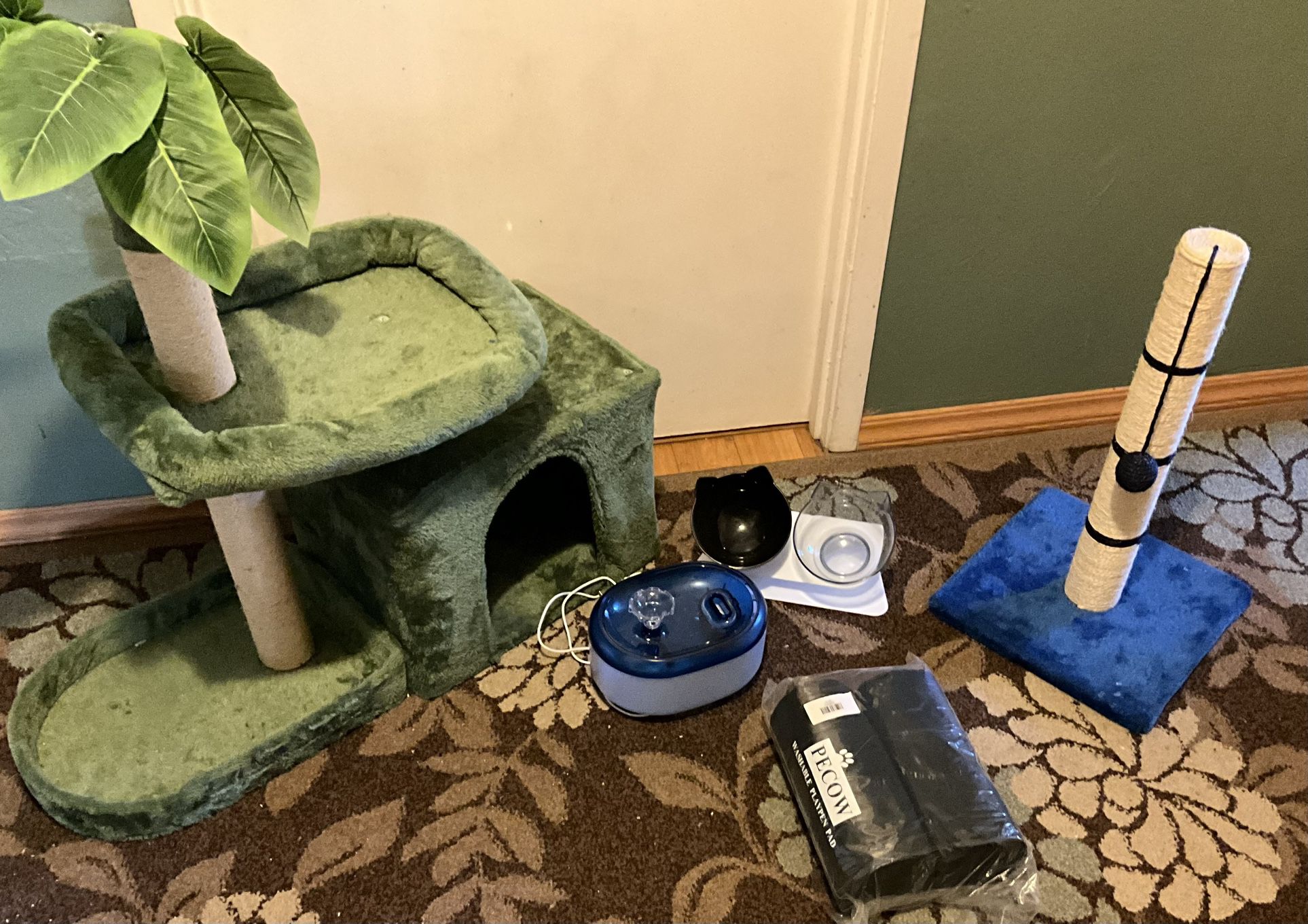 Kitten/cat Miscellaneous- Everything For $30
