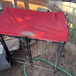 Dog Cage