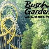 Busch Gardens And Water Country USA Tickets