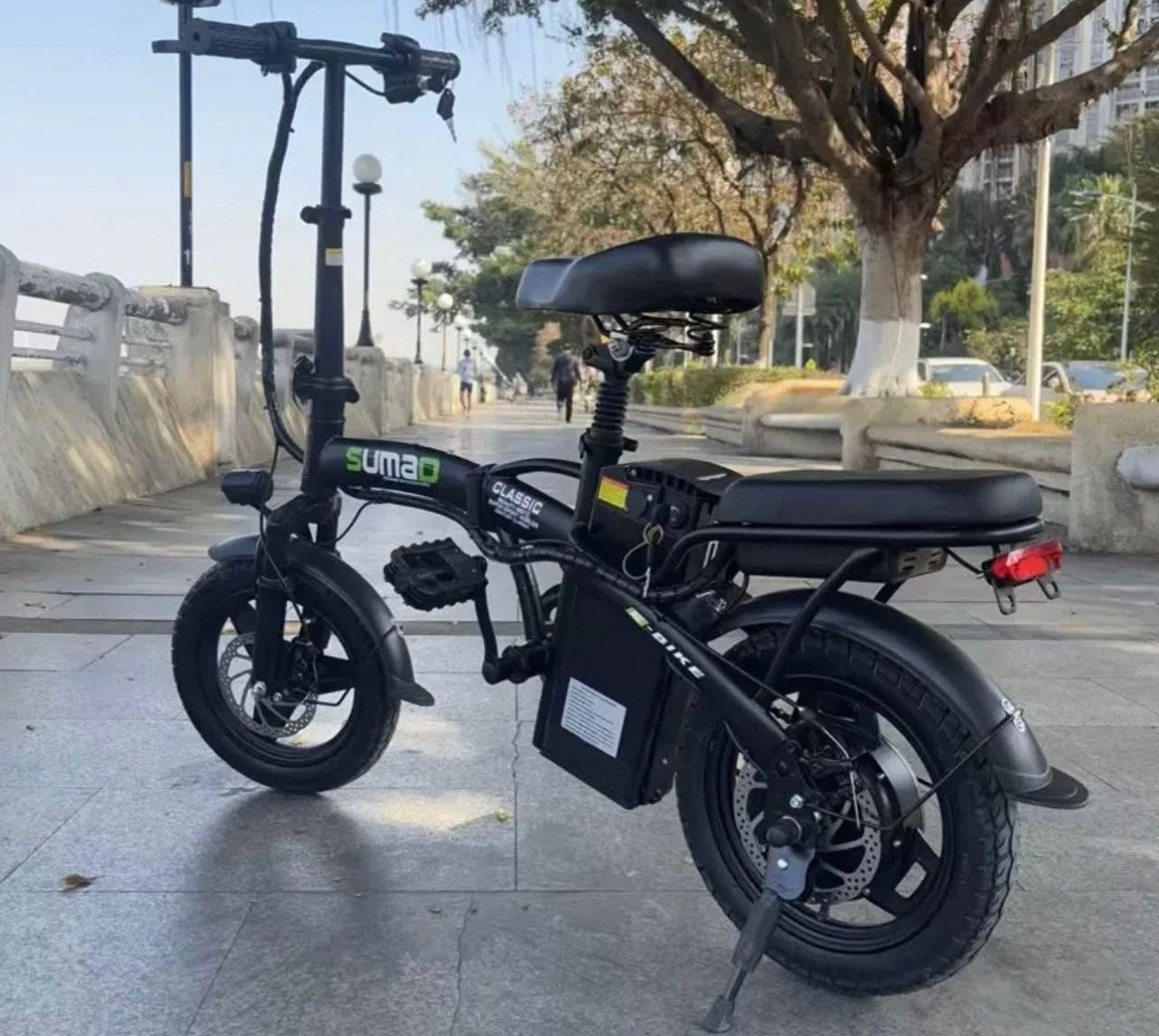Electric Bike