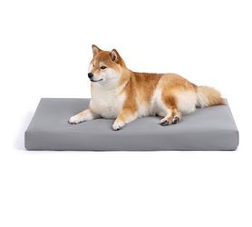 Chew  proof, dog bed - indestructible for aggressive chewers