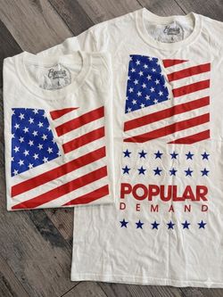 Popular Demand Men's White Short Sleeve Graphic Tee - American Flag