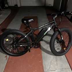 Electric Bike