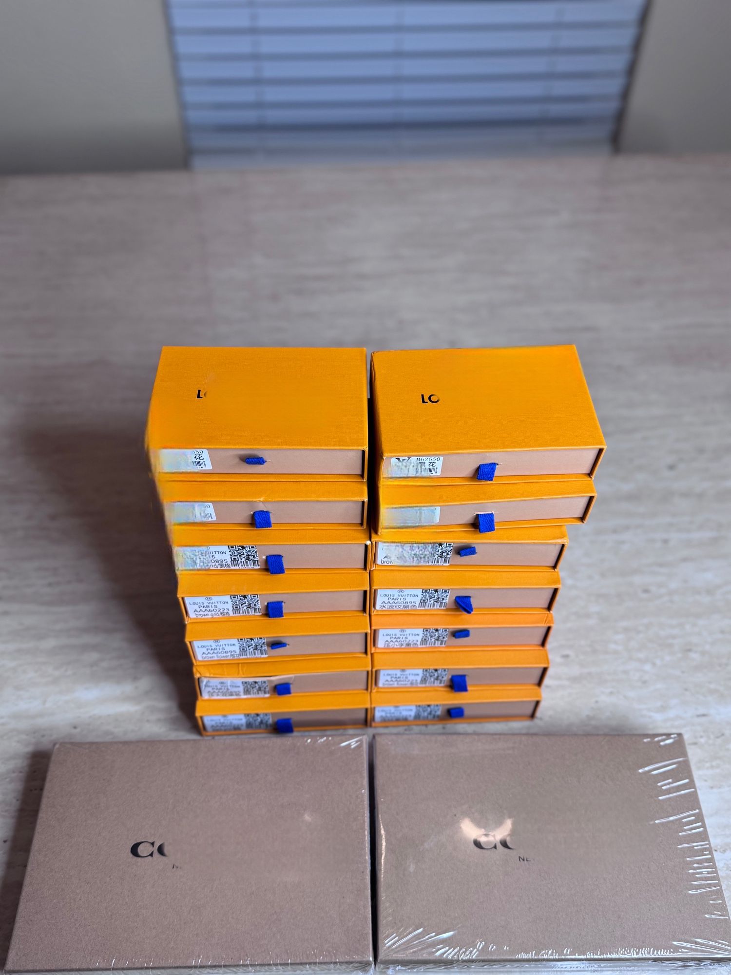 🎯 New Women Wallets