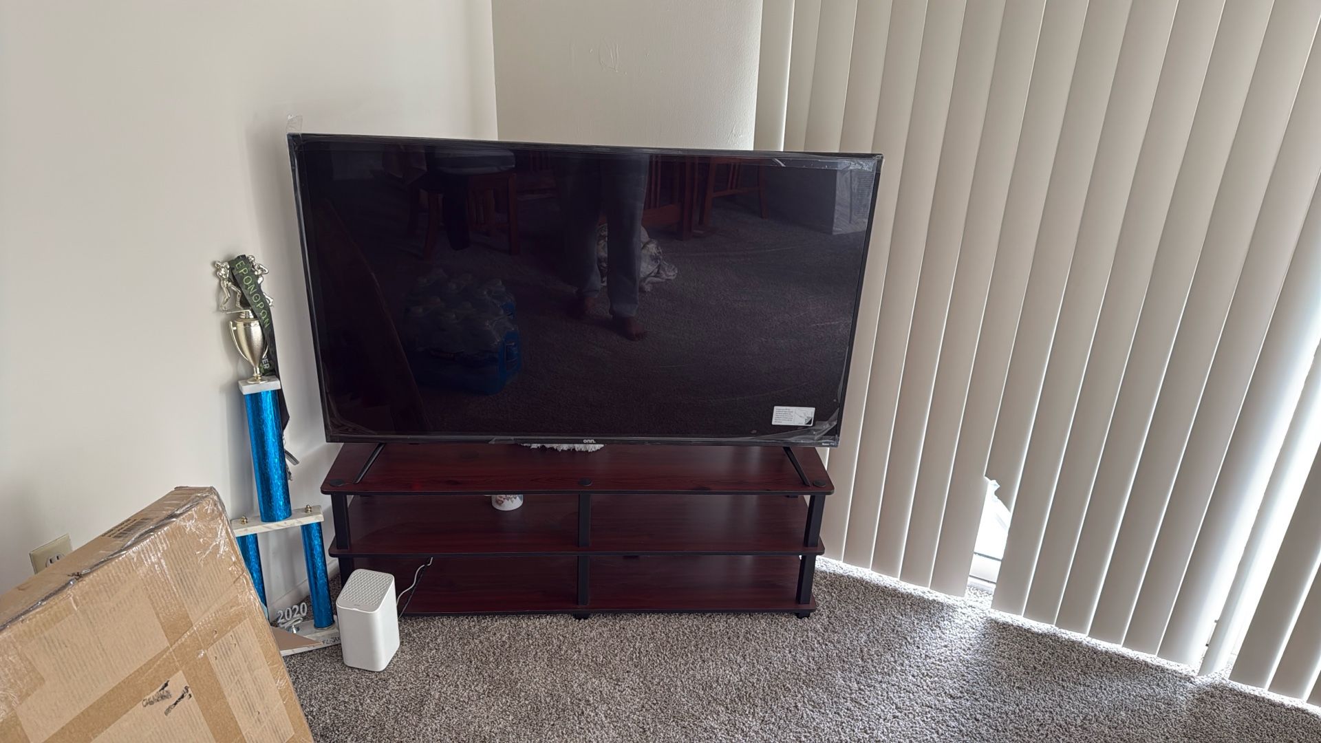 55 Inch On Roku TV Plus Stand