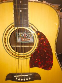 Oscar Schmidt og2tp by Washburn acoustic