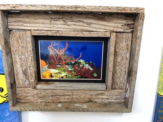 Lobster trap w real taken photo